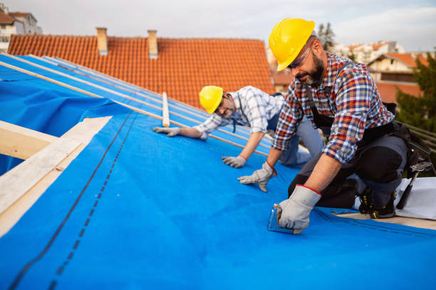 Best Roof Waterproofing Services  in Mauston, WI