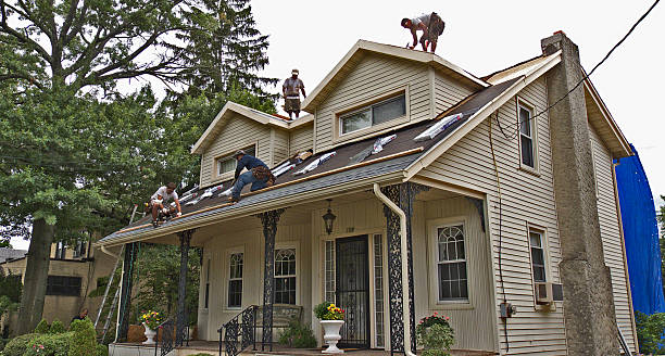 Best Shingle Roofing Installation  in Mauston, WI